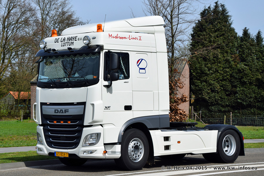 Truckrun Horst-20150412-Teil-2-0288.jpg